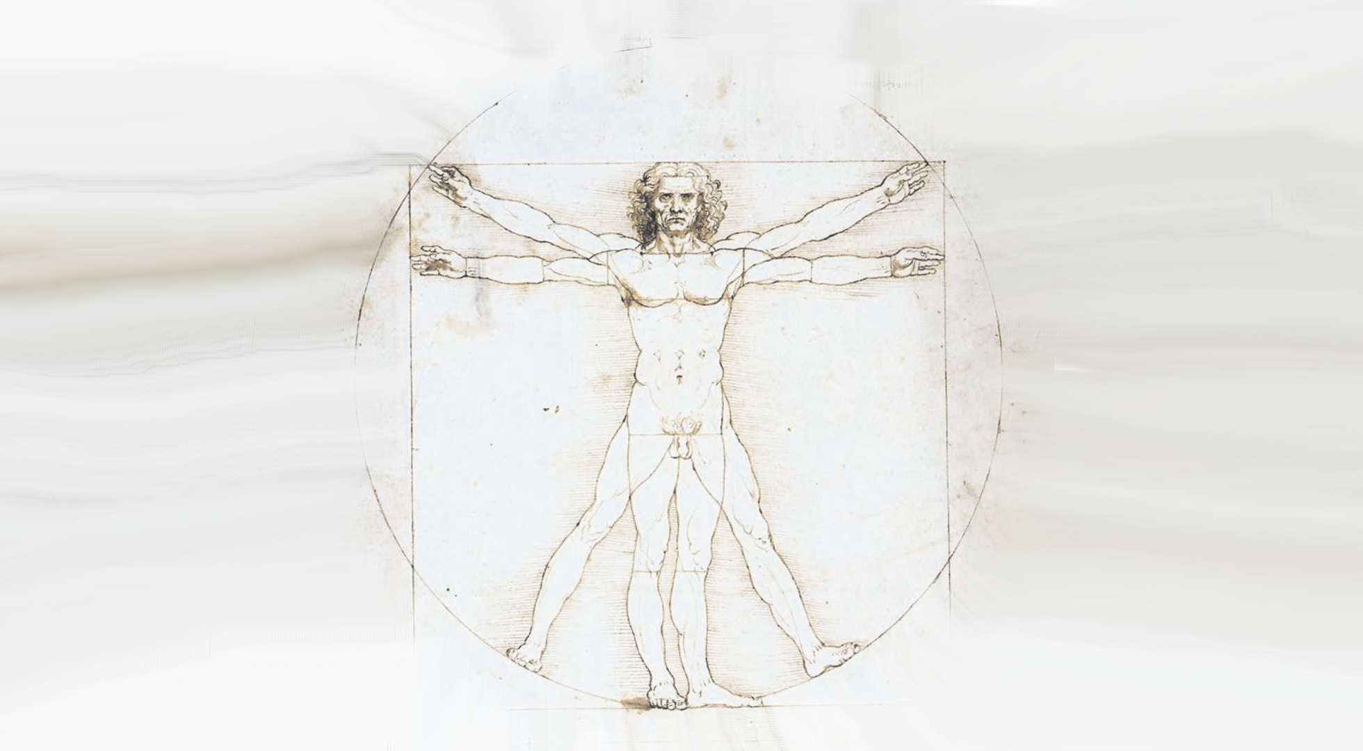 Vitruvianischer Mensch (Leonardo Da Vinci)